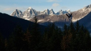 Eagle Soaring West Glacier Trail
