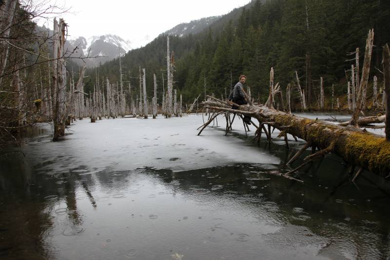 Salmon Creek Trail Juneau?s Power Source Adventure Flow