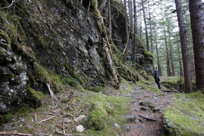 Salmon Creek Trail Juneau?s Power Source Adventure Flow